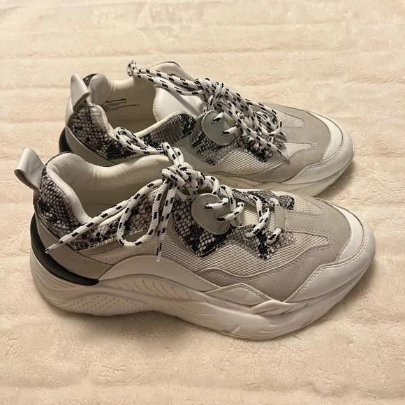 Steve Madden | Shoes | Steve Madden Sneakers Size 9 | Poshmark display picture 1